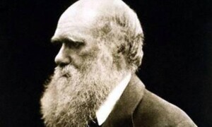 Darwin censuré aux USA?