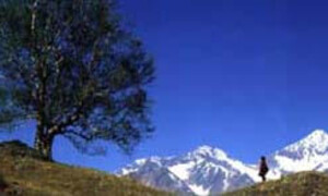  Himalaya - Die Kindheit eines Karawanenführers
