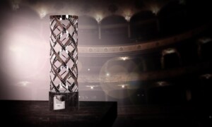 Fünf Schweizer Projekte für Filmmaker Award nominiert